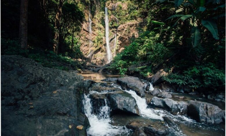 Mork Fa Wasserfall Chiang Mai – Vollständiger Leitfaden
