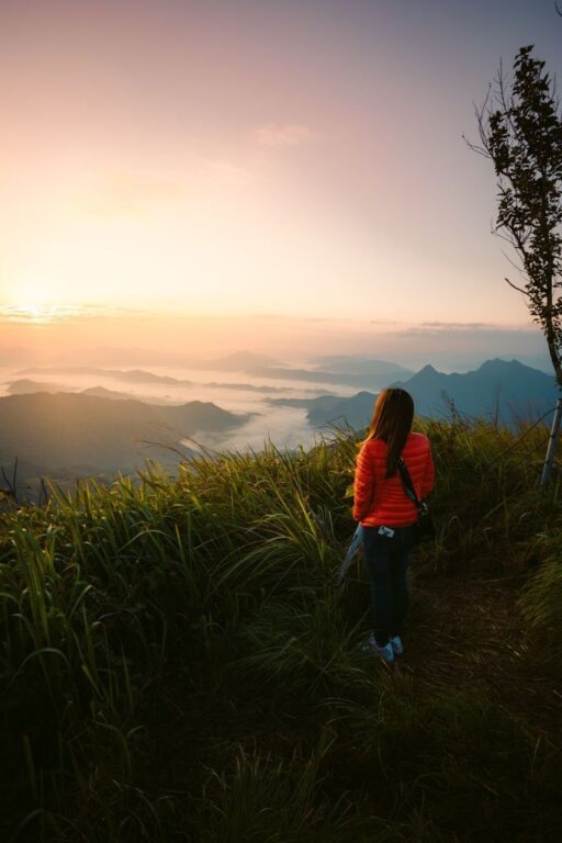 PHU CHI FA VON CHIANG RAI
