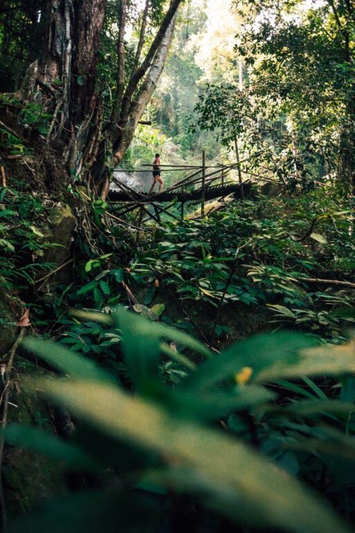 CHIANG RAI WASSERFALLWANDERUNG ZUM HUAY KAEW WASSERFALL