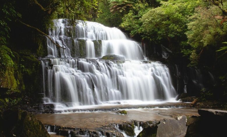 Purakaunui Falls Walk – Catlins, Neuseeland