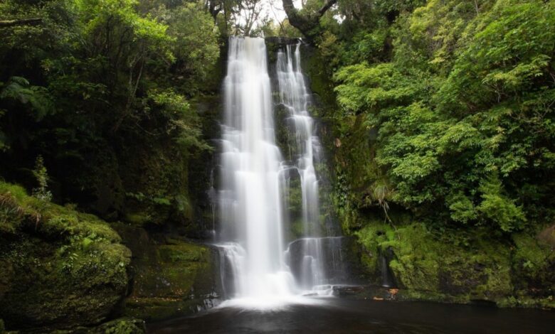 4 unglaubliche Catlins-Wasserfälle auf der Südinsel Neuseelands