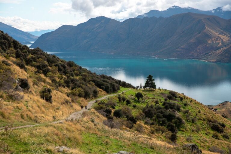 ROYS PEAK-TRACK