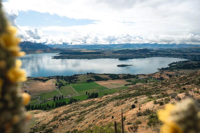 WANAKA VON DER ROYS PEAK TRACK