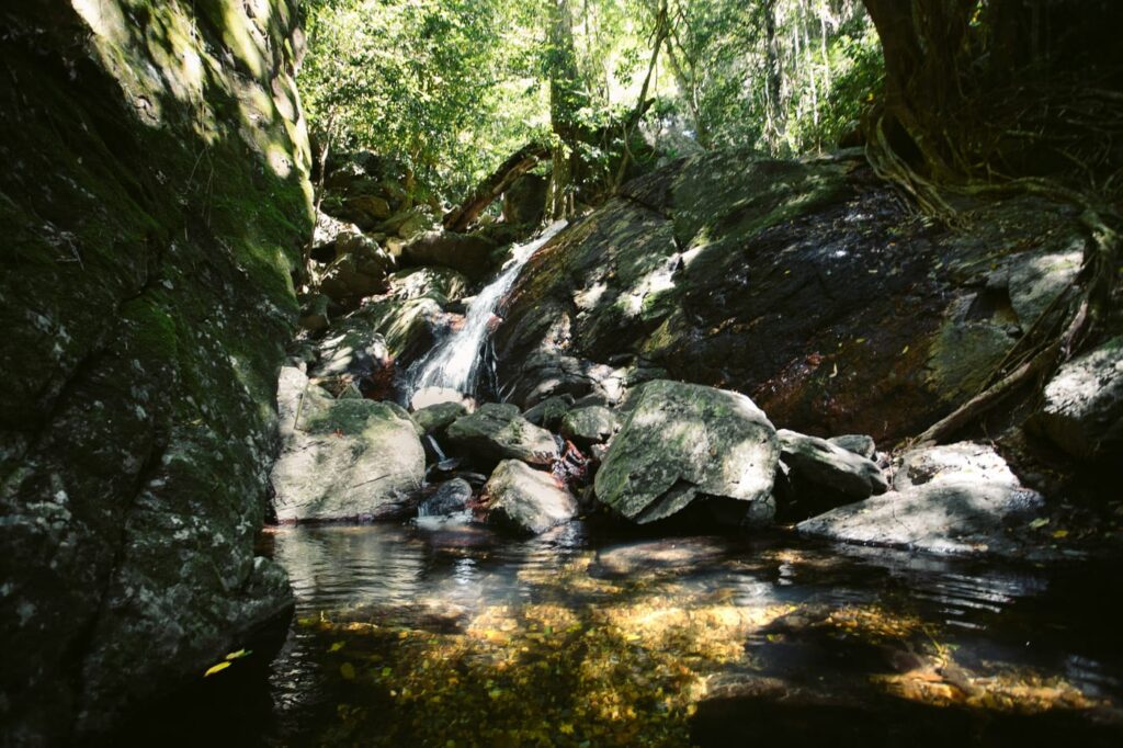 ISABELLA FÄLLE QLD