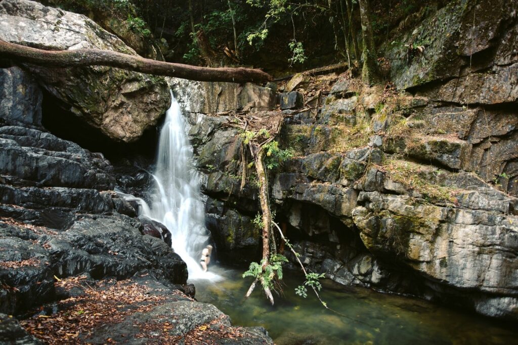 ALTE WEHRFÄLLE BEI ​​STONEY CREEK, CAIRNS