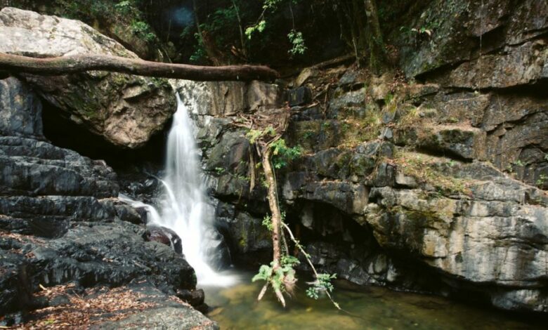 Stoney Creek Falls Cairns – Wasserfall und Schwimmloch