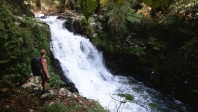 Souita Falls – Atherton Tablelands Wasserfallführer