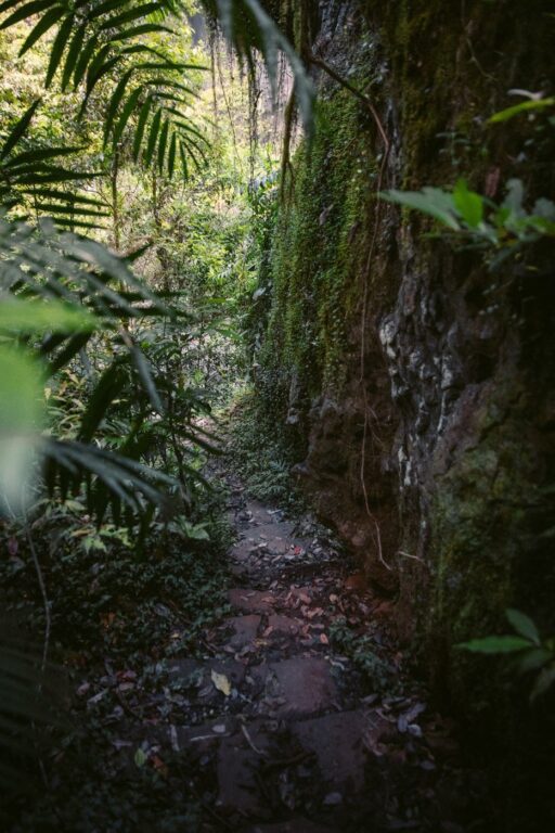 ZILLIE FALLS GEHSPUR