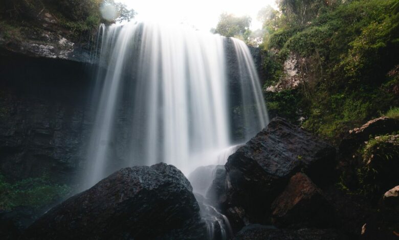 Zillie Falls, Millaa Millaa, Queensland – Was Sie erwartet