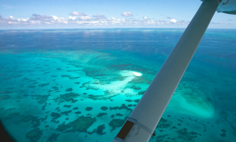 So buchen Sie einen Great Barrier Reef-Flug ab Cairns + Was Sie erwartet