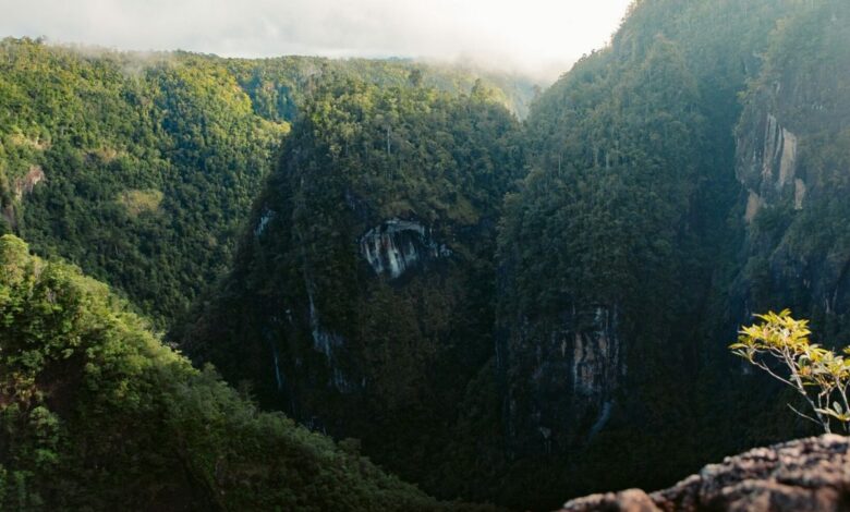 Tully Gorge Lookout – Wie Sie hierher kommen und was Sie erwartet