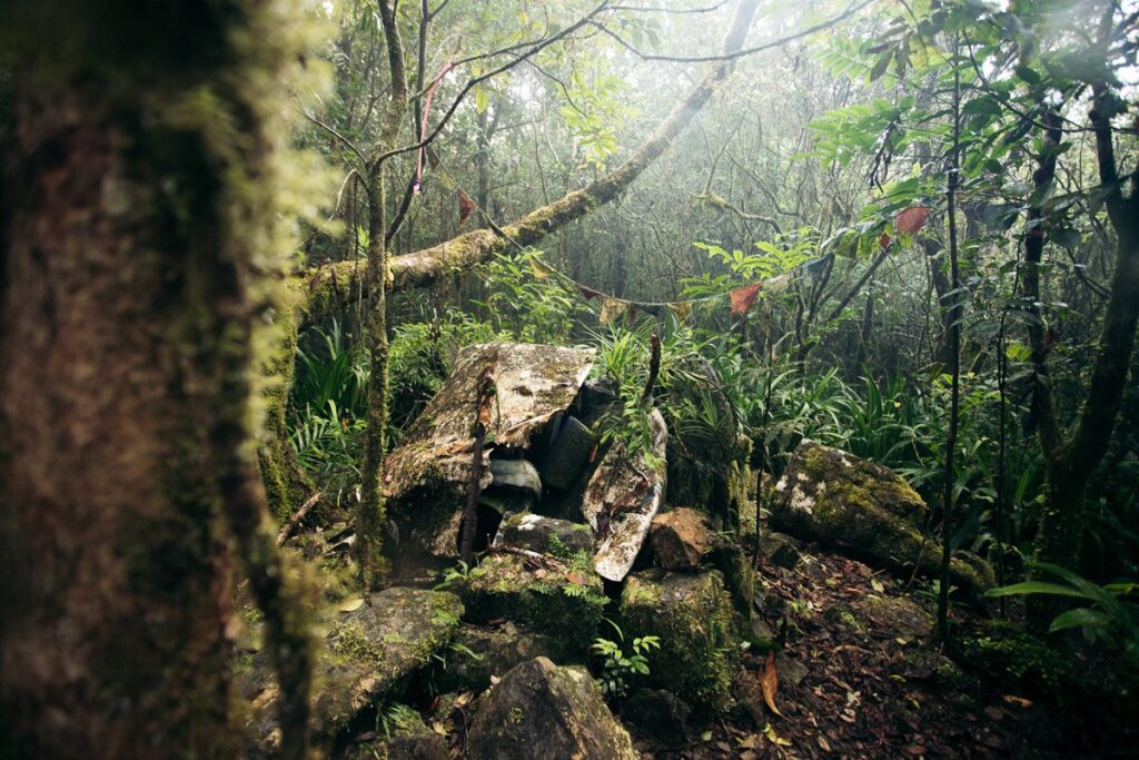 CAIRNS PLANE WRACK SITE MOUNT WILLIAM STONEY CREEK