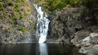 Spring Creek Falls, Port Douglas – Mowbray NP Wasserfall & Wanderführer
