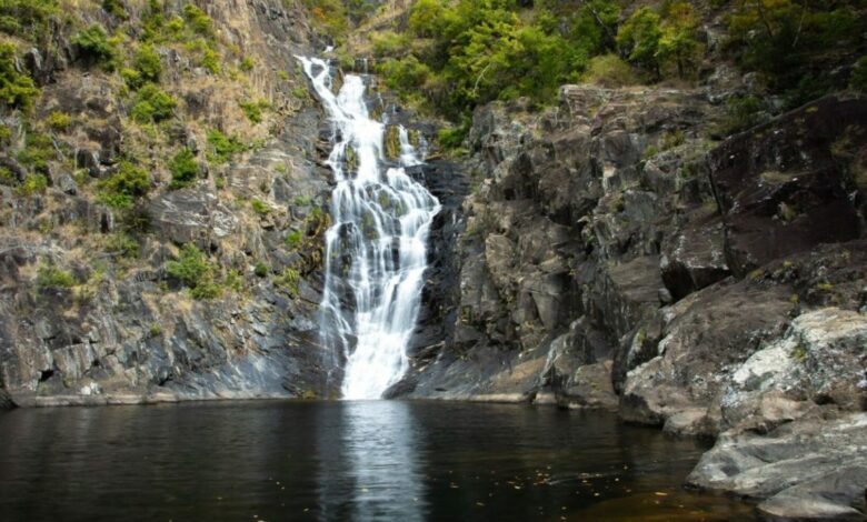 Spring Creek Falls, Port Douglas – Mowbray NP Wasserfall & Wanderführer