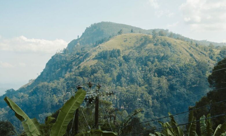 Ella Rock Hike Sri Lanka – Unabhängiger Wanderführer