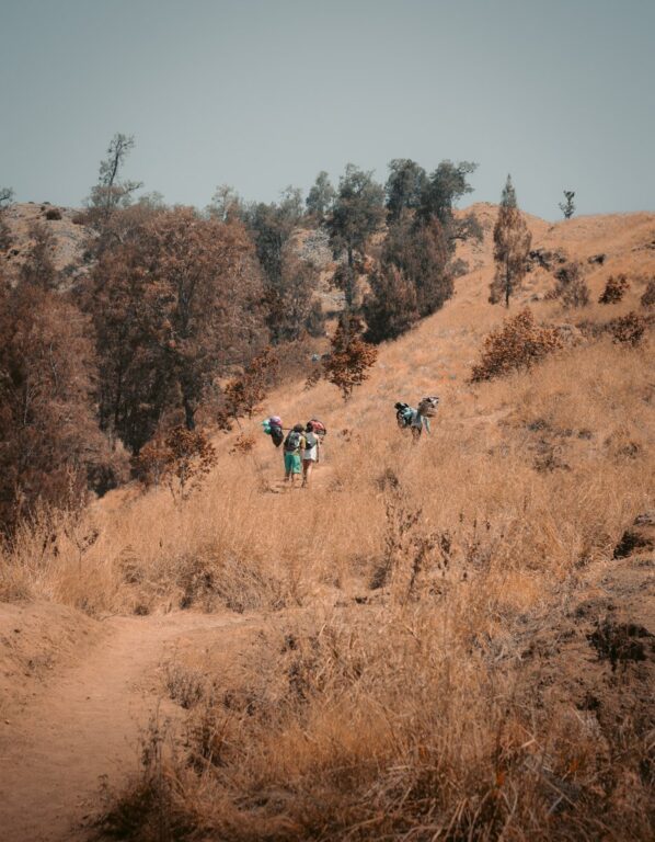 MOUNT RINJANI CRATER RIM TREKKING