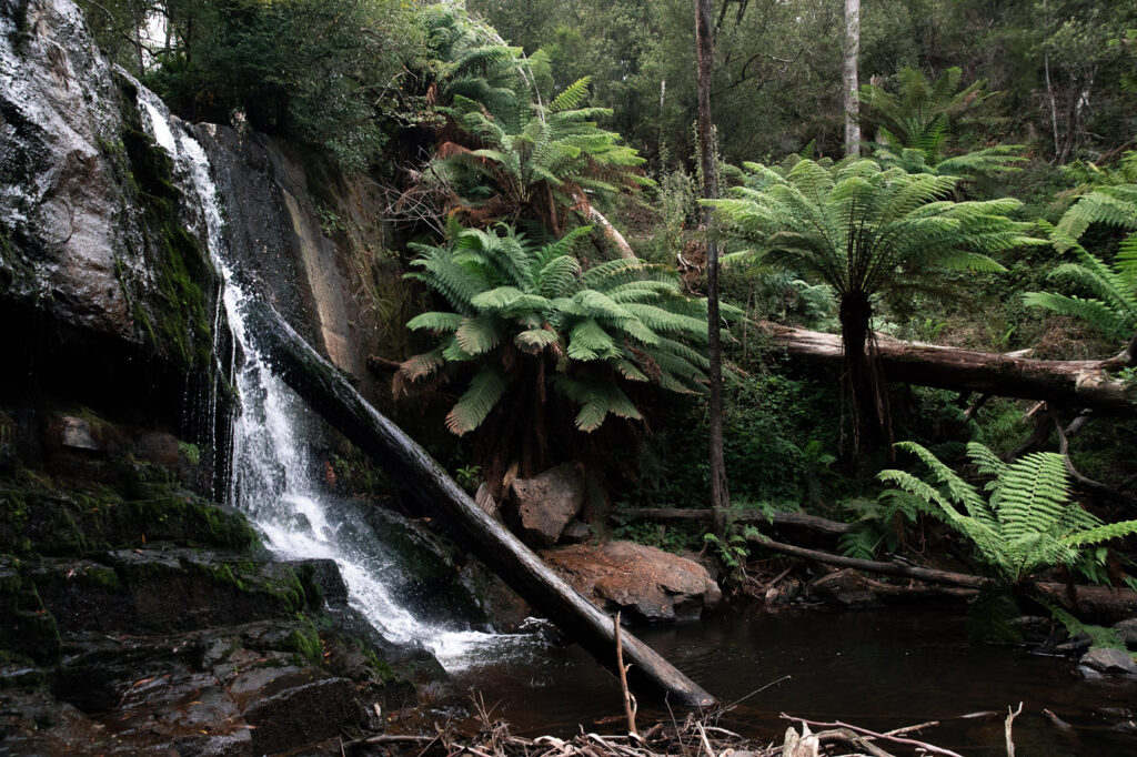 LILYDALE FALLS RESERVAT