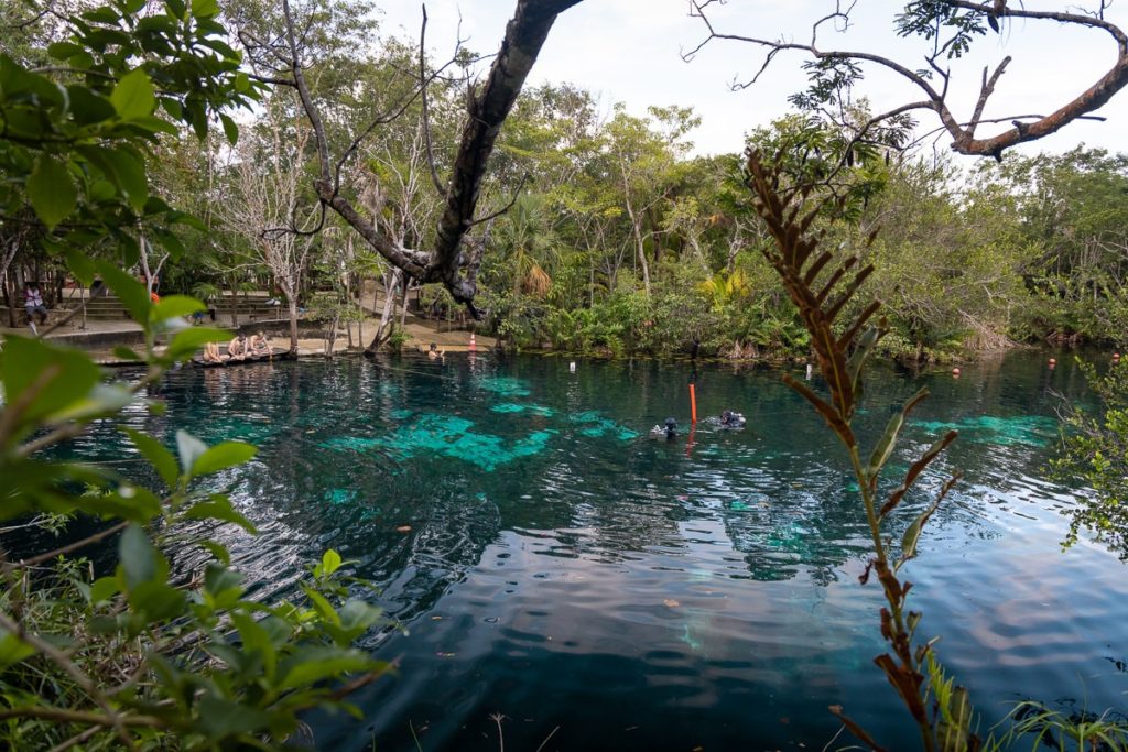 Cenote-Autowaschanlage in der Nähe von Tulum, Mexiko