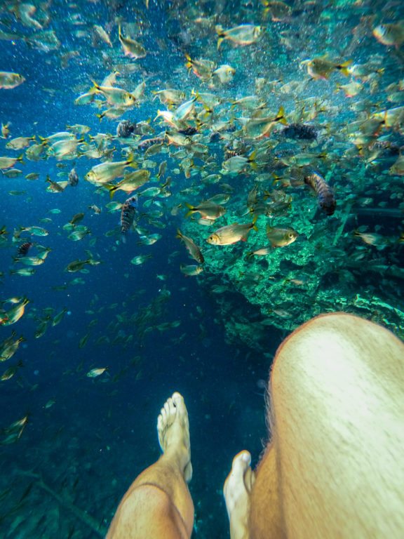 Schwimmen in der Autowaschanlage Cenote