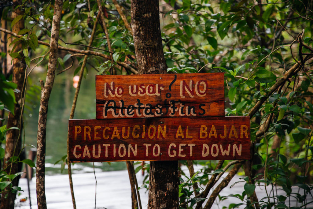 Keine Flossen in der Cenote