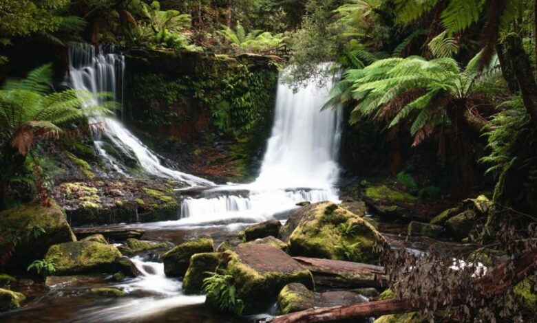 Besuch der Horseshoe Falls in Tasmanien