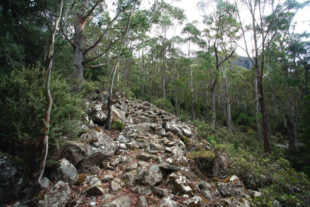 UNTERE SÄGEWERK TRACK AUF DEM MOUNT WELLINGTON SUMMIT TRACK