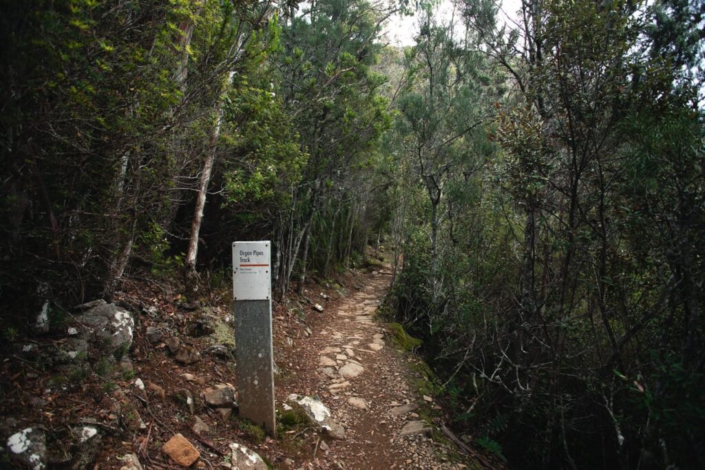 ORGELPFEIFENBAHN, MOUNT WELLINGTON WANDERN