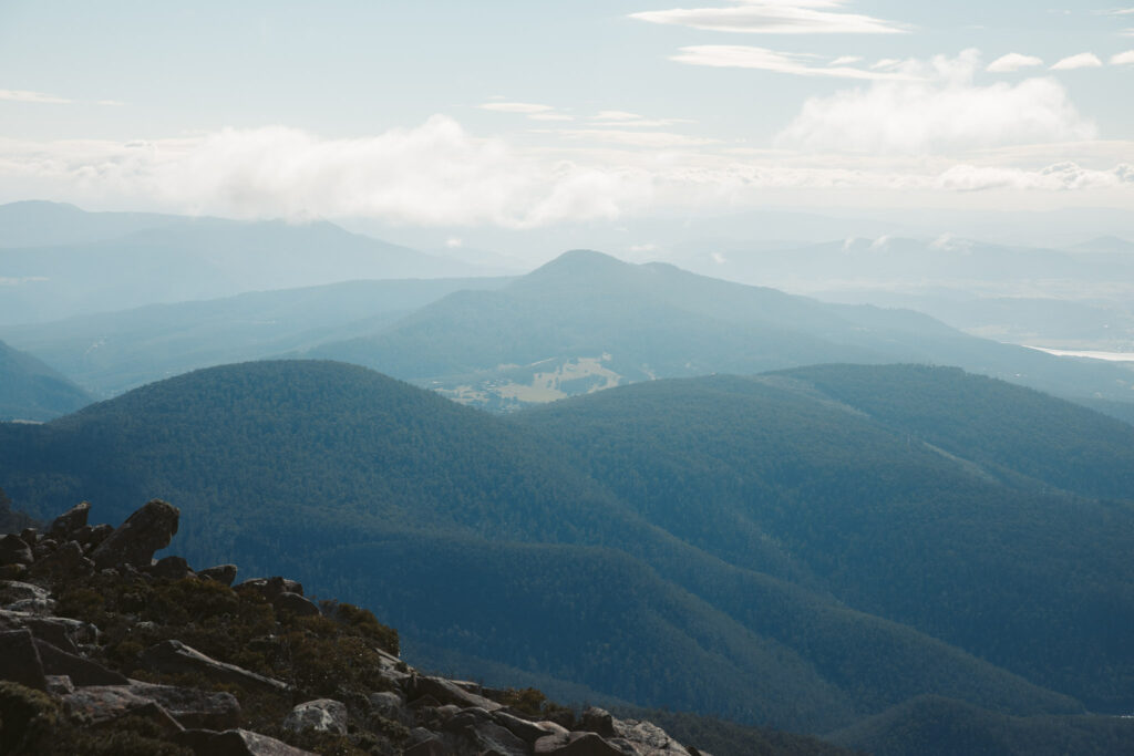 GIPFELWANDERUNG AM MOUNT WELLINGTON