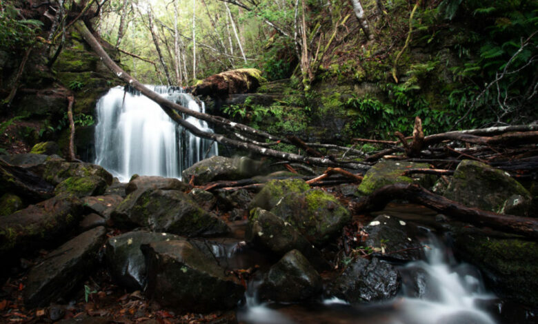 7 Wasserfälle in der Nähe von Hobart, die Sie bei einem Tagesausflug sehen können