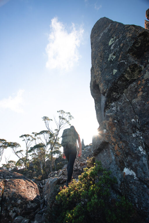 COLLINS CAP WALK TASMANIEN