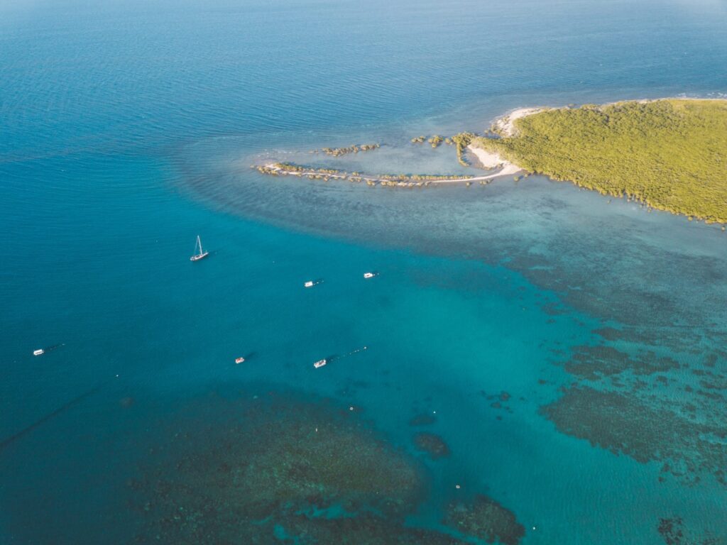 Schnorcheln am Low Island Reef