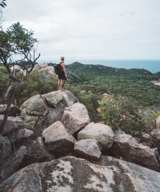 Forts laufen Koalas auf Magnetic Island