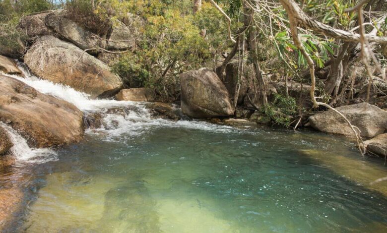 Davies Creek Falls – Infinity-Pool-Wasserfall (Cairns/Tablelands)