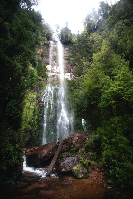 ADAMSONS FÄLLE TASMANIEN
