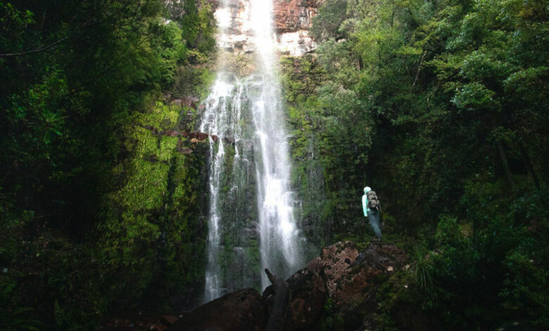 Adamsons Falls: Epischer Wasserfall im äußersten Süden Tasmaniens