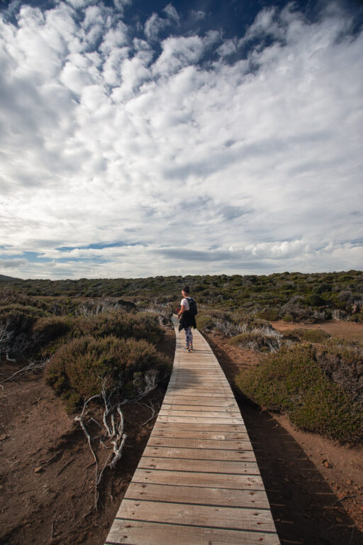KAP-RAOUL-BOARDWALK-WANDERUNG