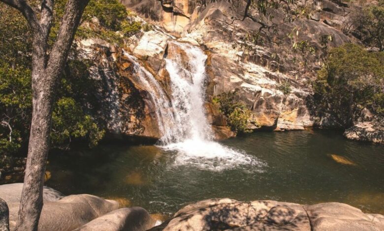 Emerald Creek Falls – Wasserfall und Badestelle in der Nähe von Cairns  