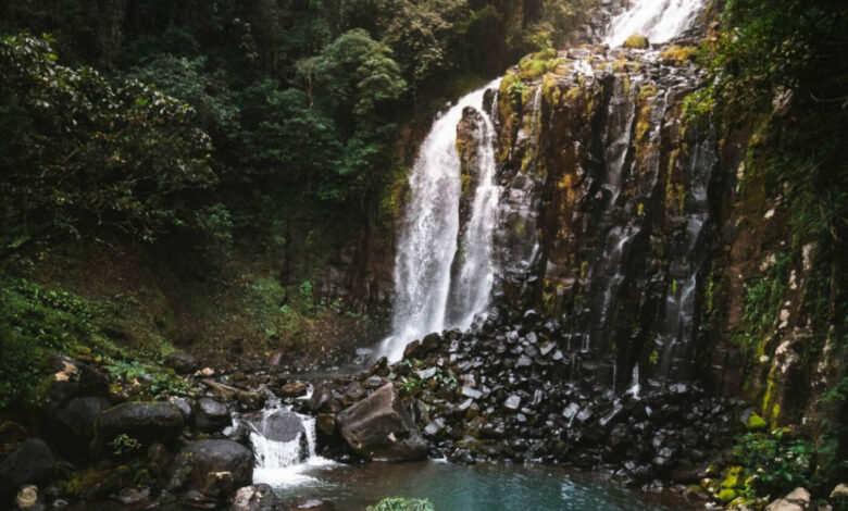 Führer zu den Mungalli Falls – Atherton Tablelands/Cairns