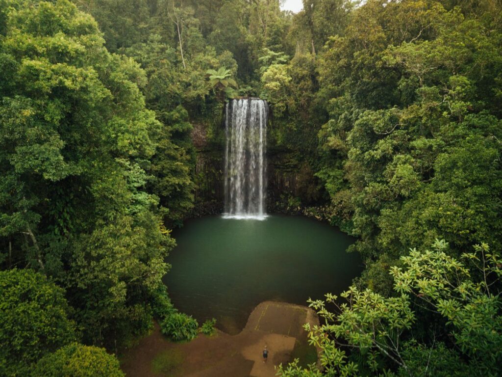 MILLAA MILLAA FÄLLE, CAIRNS WASSERFÄLLE, DINGE ZU TUN