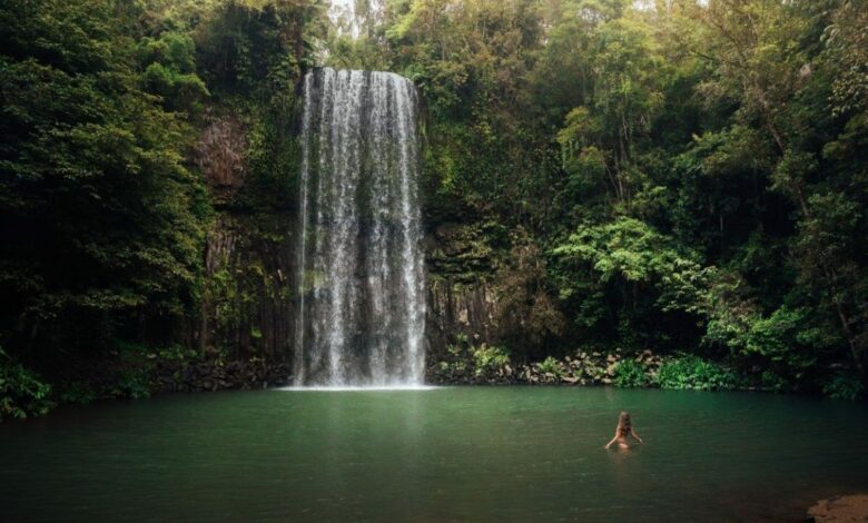Millaa Millaa Falls – Unglaublicher Wasserfall in den Atherton Tablelands in der Nähe von Cairns