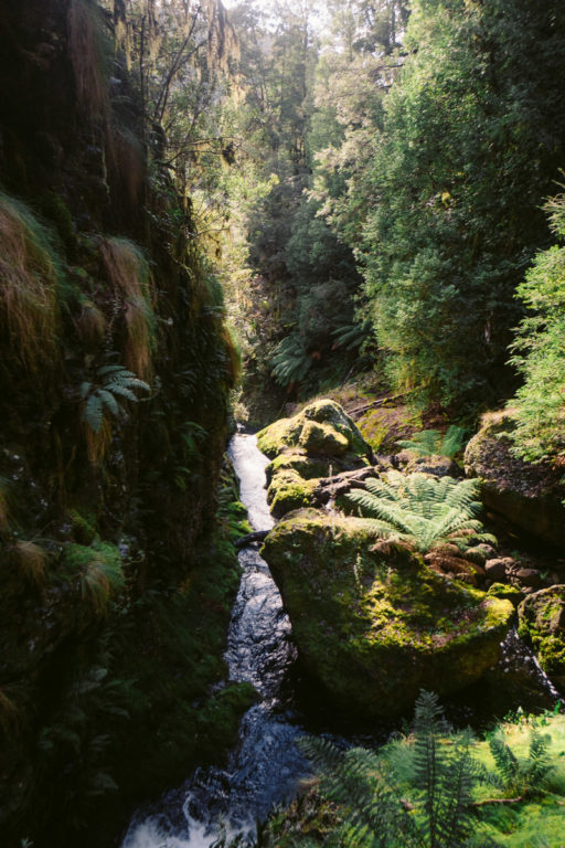 CRADLE MOUNTAIN WASSERFALL TRACK