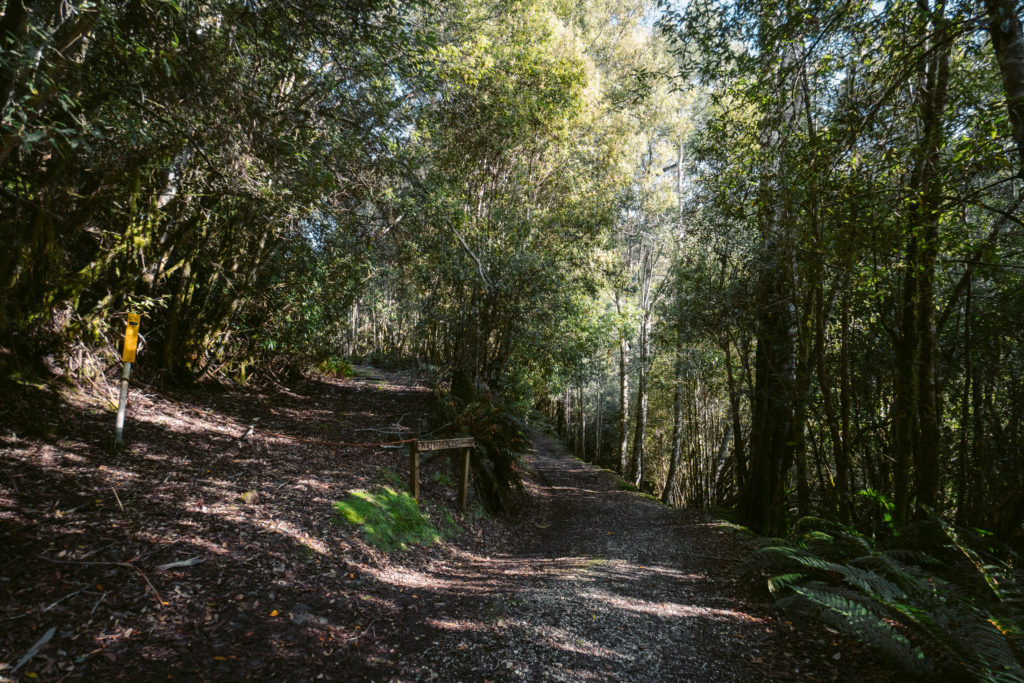 BRIDAL VEIL FALLS WALK TASMANIEN