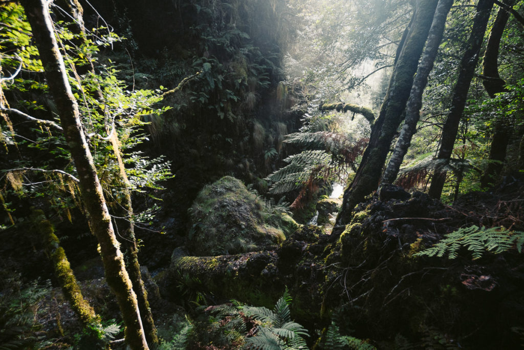 CRADLE MOUNTAIN WASSERFALL TRACK