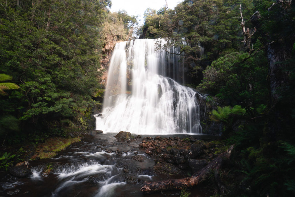 BRAUTSCHLEIER FÄLLT TASMANIEN