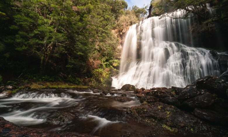 Bridal Veil Falls & Champagne Falls (Tasmanien) – Epische Cradle Mountain Wasserfälle