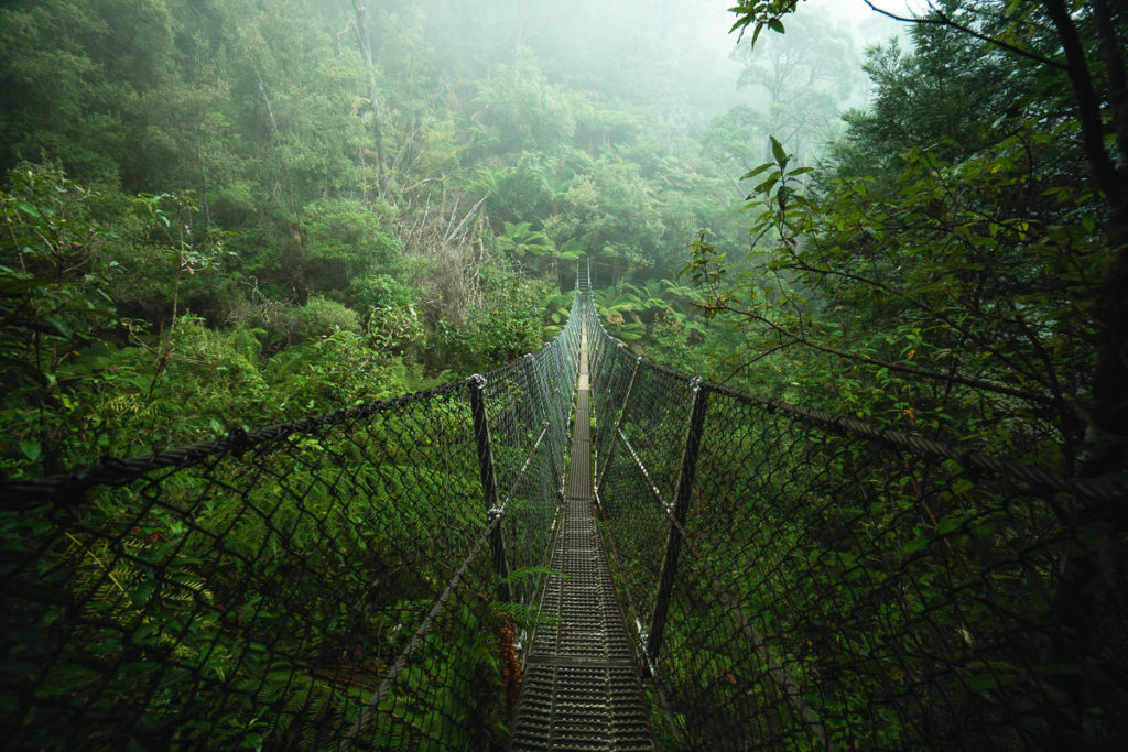 MONTEZUMA FALLS TRACK IN TASMANIEN