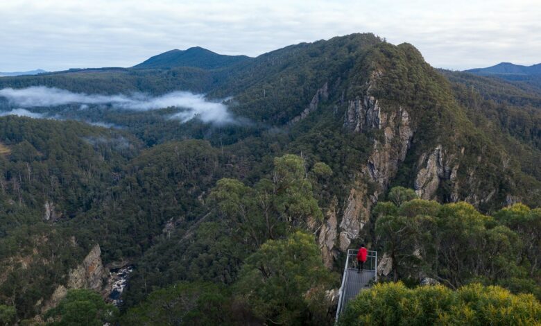 Leven Canyon Lookout Tasmanien – Vollständiger Leitfaden