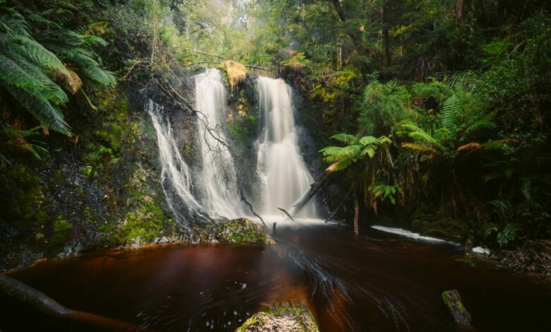 Hogarth Falls In Strahan – Tasmanischer Wasserfallführer