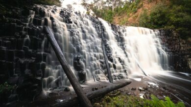 Dip Falls Tasmanien – Epischer Wasserfall & Big Tree Walk in der Nähe von Stanley