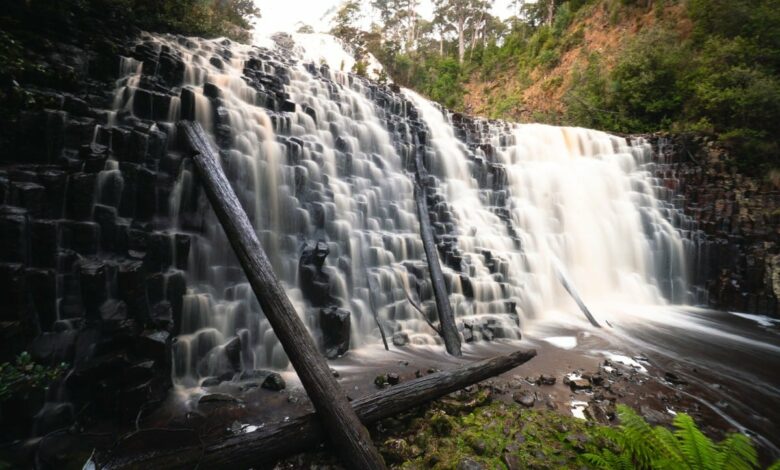 Dip Falls Tasmanien – Epischer Wasserfall & Big Tree Walk in der Nähe von Stanley